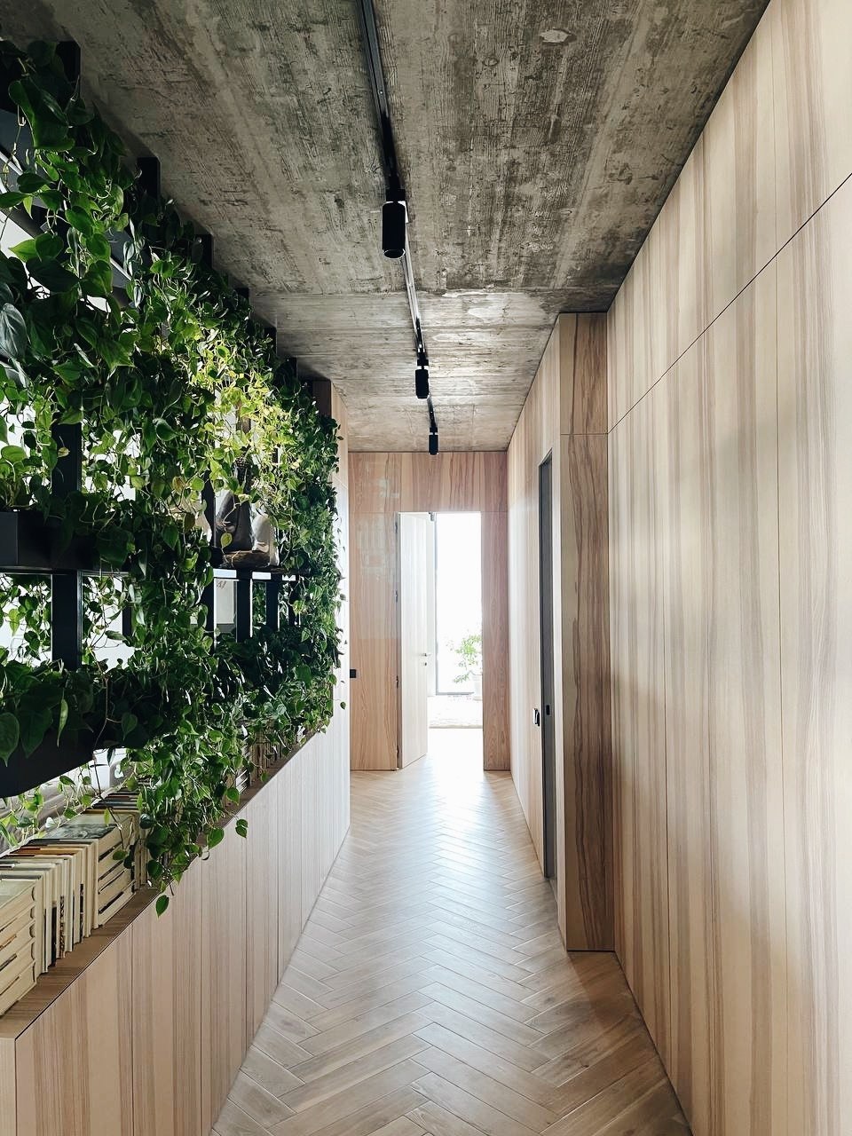 White Ash Luxury Apartment