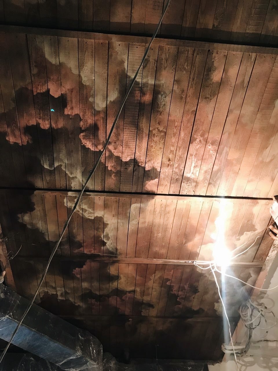 Italian Edition — Restaurant Buildout