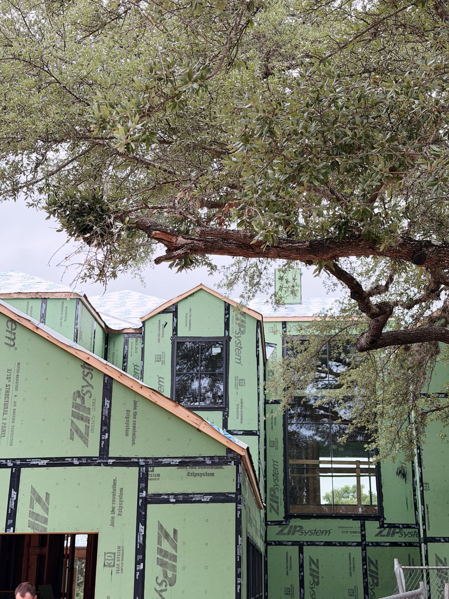 Large-Scale Glazing Project